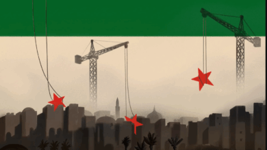 Historical Development and the Economic and Political Impacts in Light of the Caesar Act and Its Amendments